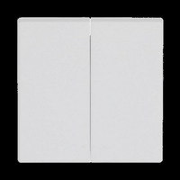 Busch-Jaeger Wippe zweiteilige Wippe matt weiß (matt), Retail