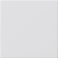 Gira Blindabdeckung ohne Tragring weiß, Retail