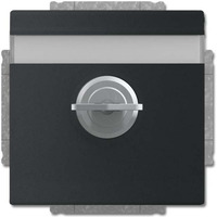 Busch-Jaeger Schutzkontakt-Steckdosen-Einsatz Typ F 20 EUKNBSL-885-101 schwarz, Retail