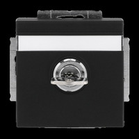 Busch-Jaeger Schutzkontakt-Steckdosen-Einsatz Typ F 20 EUKNBSL-885-101 schwarz, Retail