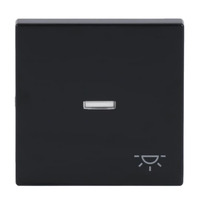 Busch-Jaeger Wippe mit Symbol Licht anthrazit, Retail