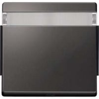 Merten Wippe mit Schriftfeld anthrazit, Retail