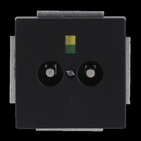 Busch-Jaeger Potentialausgleich Dose zweifach Unterputz schwarz (matt), Retail