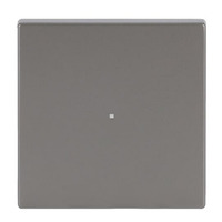 Busch-Jaeger Wippe Edelstahl edelstahl, Retail