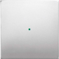 Busch-Jaeger Wippe Edelstahl edelstahl, Retail