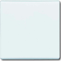 Busch-Jaeger Wippe Aus Wechsel Kreuz weiß, Retail