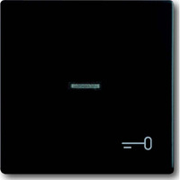 Busch-Jaeger Wippe mit Symbol Schlüssel schwarz, Retail