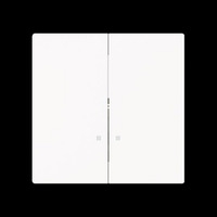 Busch-Jaeger Zentralscheibe 1785/11 K-44M, Abdeckung weiß, Retail