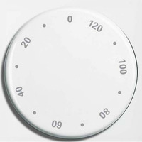 Busch-Jaeger Zentralscheibe, Rahmen Retail