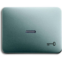 Busch-Jaeger Wippe mit Symbol Schlüssel titan, Retail