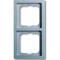 Busch-Jaeger Rahmen zwei fach Retail