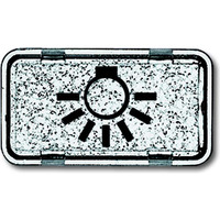 Busch-Jaeger Tastersymbol Licht 2622 LI-101, Schalter Retail
