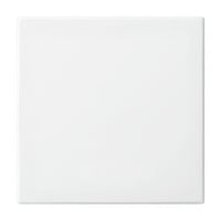 Busch-Jaeger Wippe einteilige Wippe Retail