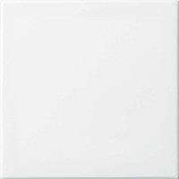 Busch-Jaeger Wippe einteilige Wippe Retail