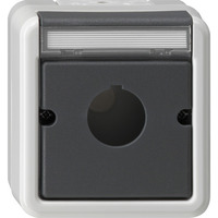 Gira Zentralplatte für 22,5 Millimeter mit Beschriftungsfeld zur Aufnahme von Befehls- und Meldegeräten, Gehäuse grau, Retail