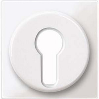 Merten Zentralplatte für genormte Profil-Halbzylinderschlösser mit 40 Millimeter Länge weiß (glänzend), Retail