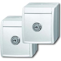 Busch-Jaeger Steckdose 20/20 Einbausteckdose Aufputz weiß, Retail