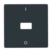 Busch-Jaeger Wippe mit Kontroll-Ausdruck anthrazit, Retail