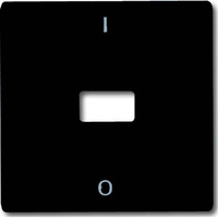 Busch-Jaeger Wippe mit Kontroll-Ausdruck anthrazit, Retail