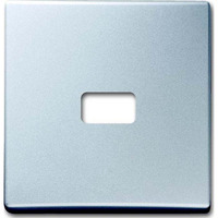 Busch-Jaeger Wippe offen für Symbol Retail