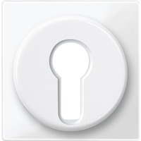 Merten Zentralplatte für genormte Profil-Halbzylinderschlösser mit 40 Millimeter Länge weiß (glänzend), Retail