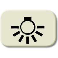 Busch-Jaeger Tastersymbol 2525 LI, Rahmen weiß, Retail