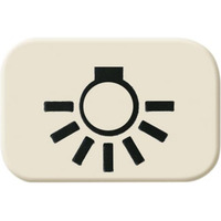 Busch-Jaeger Tastersymbol 2525 LI, Rahmen weiß, Retail