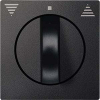 Merten Zentralplatte, Schalter anthrazit, Retail