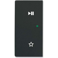 Busch-Jaeger Wippe schwarz, Retail