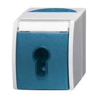 Busch-Jaeger Schlüsselschalter Aufputz mit Schlüssel, 1-polig, 10 Ampere, IP44, Typ 2733 SLW-53 Retail