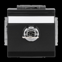 Busch-Jaeger Schutzkontakt Steckdosen-Einsatz anthrazit, Retail