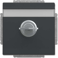 Busch-Jaeger Schutzkontakt Steckdosen-Einsatz anthrazit, Retail