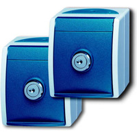 Busch-Jaeger Schutzkontaktsteckdose 2 Steckdosen mit 2 gleichen Schlössern blau, Retail