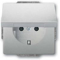 Busch-Jaeger Schutzkontaktsteckdose Einsatz 20 EUKB-866 edelstahl, Retail