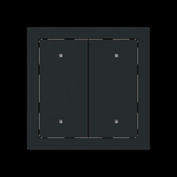 Busch-Jaeger Wippe für Elektroniktaster 2-fach schwarz, Retail