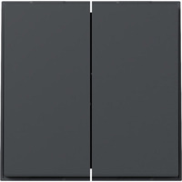 Gira Wippe zweifach gerade anthrazit, Retail