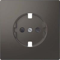 Merten Zentralplatte mit integriertem erhöhtem Berührungsschutz aus lackiertem Thermoplast anthrazit, Retail