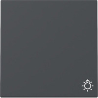 Gira Wippe Symbol Licht anthrazit, Retail