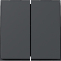 Gira Wippe zweifach anthrazit, Retail