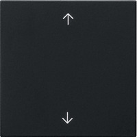 Gira Wippe einfach schwarz, Retail