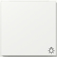 Gira Wippe mit Symbol Licht weiß, Retail