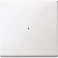 Merten Wippe für Tastermodul einfach, Typ 619119, Thermoplast glänzend, System M weiß (glänzend), Retail
