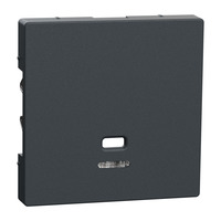 Merten Zentralplatte Zugschalter und Taster Einsatz anthrazit, Retail