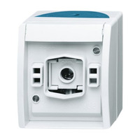 Busch-Jaeger Lichtsignal ohne Haube Aufputz Typ 2661 W-53 mit Schraubklemmen, E10-Fassung blaugrün, Retail