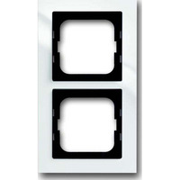 Busch-Jaeger Rahmen 2-fach Retail