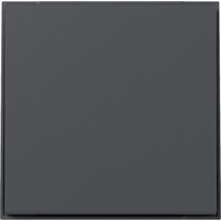 Gira Wippe gerade anthrazit, Retail