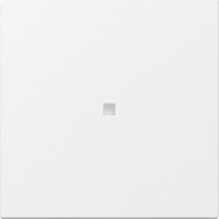 Gira Wippe gerade Kontrollfenster weiß, Retail