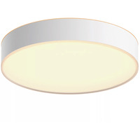Philips Hue White Ambiance Enrave Deckenleuchte M, LED-Leuchte weiß, inkl. Dimmschalter