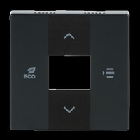 Busch-Jaeger Zentralscheibe, Rahmen anthrazit, Retail