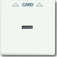 Busch-Jaeger Zentralscheibe für Schalter mit mattierter Oberfläche, Abdeckung weiß (matt), Retail